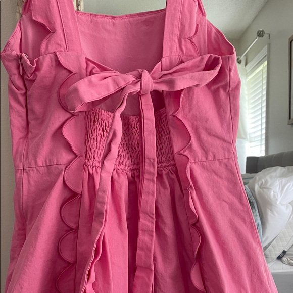 TCEC Pink Ruffle Mini Dress - Picture 5 of 6